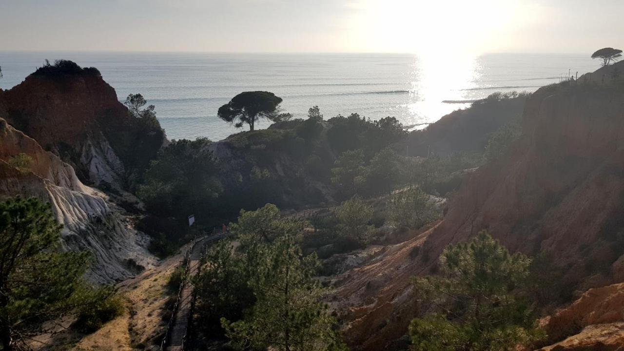 Magnific Studio With A Cozy Garden, 5 Minutes To The Beach Albufeira Exterior foto